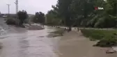Sağanak yağış dereyi taşırdı
