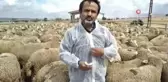 6 ihtiyaç sahibi aile koyun projesi ile köyüne döndü