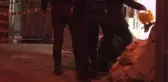 Ceviz kırma tartışmasında komşusunu öldüren sanık müebbet hapse çarptırıldı