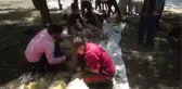 Göçerlerin koyun kırkma dönemi başladı