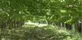 'Karga savarlar' iş başında