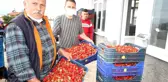 Konya'da üreticiler coğrafi tescilli çileğin alım fiyatının düşmesine tepkili
