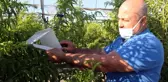 Akdeniz meyve sineğiyle mücadele olumlu sonuç verdi