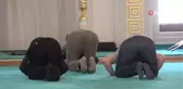 Erdoğan'ın açtığı Uzunmehmet Camii'ne ziyaretçi akını