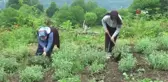 Kırsalın girişimci kadınları, bu projeyle daha da güçlendi