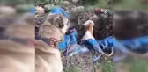 Kuyuya düşen ineği fark eden kangal köpeği saatlerce başından ayrılmadı