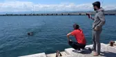 Son dakika haberi | Belgeselcilerin drone'u martıların hışmına uğradı
