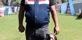 Dedektör köpek Volta'nın 