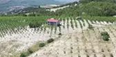 Devlet desteğiyle tarlasına badem fidanı diken üretici ihracata başladı