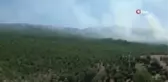 Elazığ'da orman yangını