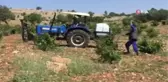Gercüş'te bağ küllenmesine karşı ilaçlama başlatıldı