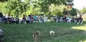 Son dakika haberi | Samsun'a şehit ateşi düştü