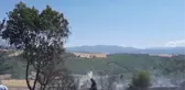Tarlada çıkan yangın buğday ekili alana zarar verdi