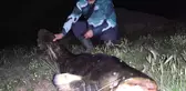 Tekirdağ'da dev yayın balığı yakalandı