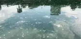 (DRONE) - Anadolu Yakası sahillerinde 