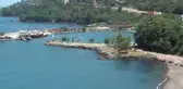 Ordu'daki 'deniz salyası' iddialarına yalanlama