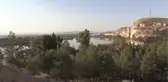 ŞANLIURFA - Koruma altındaki kelaynakların yavru sayısında rekor artış