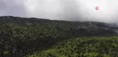 Tarzan'ın evi halen ilk günkü gibi