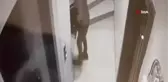 Bayrampaşa'da bir hırsız ayakkabıları seçerek çaldı