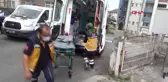 ZONGULDAK ARI SOKUNCA HASTANELİK OLDU