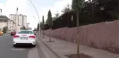 Cumhurbaşkanlığı Çankaya Köşkü'nün çevresi ağaçlandırılıyor