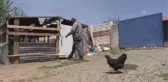 Devlet desteğiyle besicilik yapan eski hükümlü geleceğe umutla bakıyor