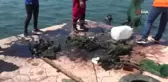 Kdz. Ereğli'de deniz temizliği