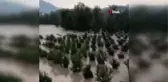 Kozan'da sağanak sele neden oldu