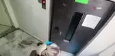 Melek'in katil zanlısı kardeşi: 