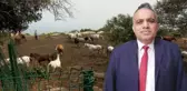 İBB'nin kayıp atlarının faturası Dörtyol Belediyesi Veteriner İşleri Müdürü'ne kesiliyor! Memurluktan çıkarılması isteniyor
