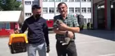 Son dakika haberi: Sattıkları aracın motor bölümüne giren kedi yavrusunu Düzce'de teslim aldılar