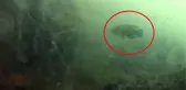 Müsilajın deniz altındaki tahribatı görüntülendi! Marmara'nın altı üstünden daha fena
