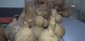 Su kabaklarını sanat eserine dönüştürüyor