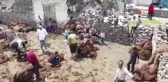 Besicilerin zorlu koyun kırkma mesaisi başladı
