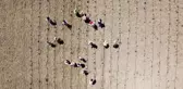 Dernek kuran Teke yöresi kadınları, bakanlık desteğinin ardından lavanta bahçelerine ilk çapayı vurdu