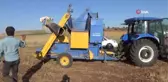 Mercimek üreticilerinin yüzü bu yıl gülmedi