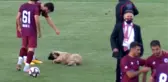Sevimli köpek önce futbolcularla antrenman yaptı sonra sahadan çıkmadı