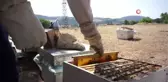 Arıcılık sektörünü kuraklık vurdu
