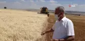 Dev makarnacıların peşinde olduğu Araban buğdayında hasat başladı