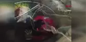 KOCAELİ AKUT KUYUYA DÜŞEN YAVRU VE ANNE KEDİYİ KURTARDI