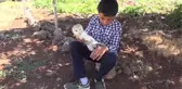 ŞANLIURFA - Yaralı bulunan peçeli baykuş korumaya alındı