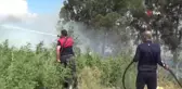 Söndürülmeden atılan izmarit, Aydın'ı duman altında bıraktı