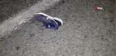 Son dakika! Tire'de trafik kazası: 1 ölü