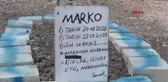 ANTALYA ARACIN ÇARPTIĞI KÖPEĞİ İÇİN MEZAR YAPTI, ÖLÜM NEDENİ 'MAGANDA KURBANI' DİYE YAZDI