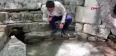 GÜLNAR'DA 4 ÇINAR AĞACI TESCİLLENDİ