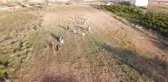 Doğu Akdeniz sahilleri fotoğraf çekimlerinde dış mekanın adresi oluyor