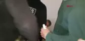 KÜTAHYA ŞEHİT ANNESİNİ DOLANDIRMAYA KALKTI, TORUNU VE OĞLUNA YAKALANDI