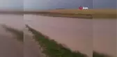 Sağanak sonrası araziler sular altında kaldı