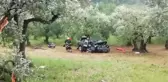 Yamaç aşağı sürüklenerek zeytin ağaçlarına çarpan otomobilin sürücüsü yaralandı