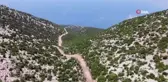 Kıl keçisi yetiştiricilerinin yol sevinci